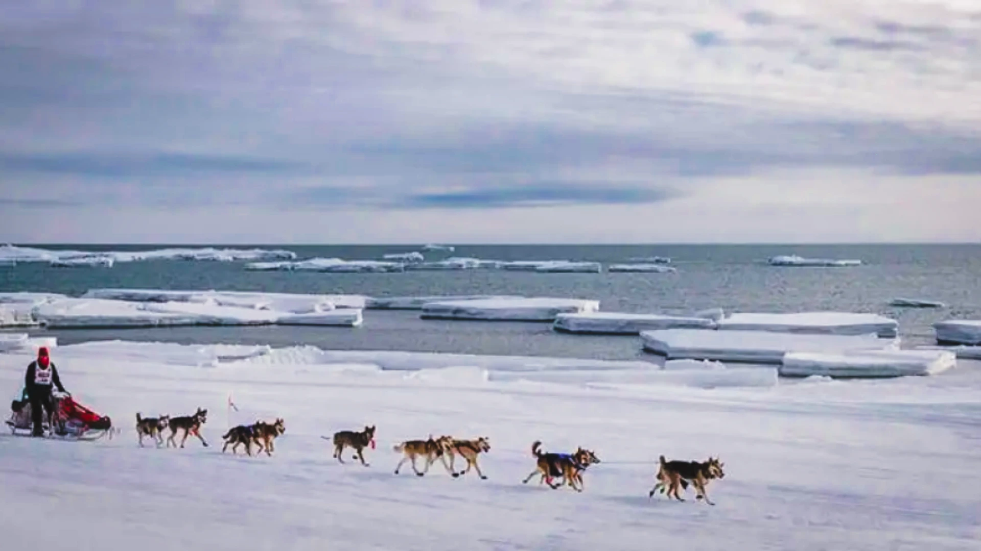 104 Arctic Transits Squeezed Through the Bering Strait's 82 km Gate. Russia Still Hasn't Ratified the Border. 104 Arctic Transits Squeezed Through the Bering Strait's 82 km Gate. Russia Still Hasn't Ratified the Border.